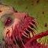 Cannibal Corpse Inhumane Harvest
