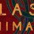 Glass Animals Holiest