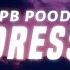 LPB Poody Address It Lyrics