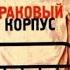 Читаемвслух А И Солженицын Раковый корпус
