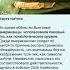 Закрытая история