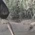 KISIMA ELIMU OFFICIAL VIDEO