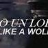 Boy Epic Wolf Lyrics Sub Español