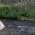 Thousands Drive Past This Stream And It S Untouched Catching Wild Montana Trout