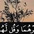 017 Surah Al Isra Ahmad Khedr Beautiful Recitation 720 X 1280 60fps