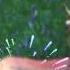I Like To Move It Move It KING JULIAN