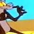 Road Runner Episode 43