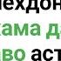 Сиёхдона Черный Тмин Фоидахои Сиёхдона Сиёхдона ба хама дард даво аст Black Seed Oil