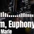 Scott Brown Al Storm Euphony Feat Donna Marie Spinning Around Original Mix