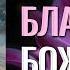 Мы сами себя поедаем и разрушаем психически все потому что Фаддей Витовницкий