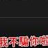 王鴻薇遭恐嚇 再說黑道就要開槍 昨晚急報案