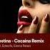 Clandestine Cocaina Remix Song By FILV Edmofo Emma Peters