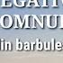 NEGATIV DOAR CU DOMNUL DE MÂNĂ Playbak Amira Din Barbulesti