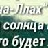 Хадис о достоинствах слов поминания