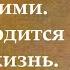 Отделывайся этим это пригодится на всю жизнь Преподобный Иосиф Оптинский