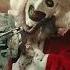 A Terrifier Christmas Carol Terrifier 3 Lyrics Subtitles