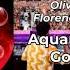 Oliver Heldens Aquarius Vs You Ve Got The Love Oliver Heldens Mashup OscarL Remake