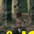 Elden Ring Shadow Of The Erdtree DLC Ymir Jolán Questline Walkthrough Finger Ruins Puzzle