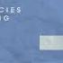 Lost Frequencies Zonderling Crazy Mr Belt Wezol Remix
