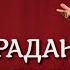 Страдания под гармонь Душевный разговор страдания под гармонь от Андрея и Евгения Никулиных