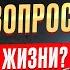 В чем смысл жизни человека Павел Андреев