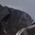 Thor Enters Wakanda But It S JUDGEMENT KNIGHTS OF THUNDER
