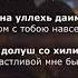 Жайна Матцаева Деги безам лаьара Чеченский и русский текст