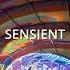 Sensient At Boom Festival Alchemy Circle