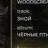 Woodscream Чёрные птицы Full Album Stream 2024