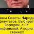 Нужны Советы Народных Депутатов Выбирать народом а не Панфиловой Андрей Белоусов Мнения людей