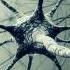 Athene S Theory Of Everything
