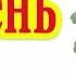 Корень Функции строение и виды корней