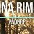 Irina Rimes Pădure Ravonic REMIX