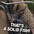 THIRD Time Is The CHARM For THIS BASS Bassfishing Fishing Bass Fish Lake Boat Fypviralシ