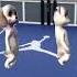Dog Dancing Meme Shorts Fyp Meme