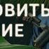 Принципы долголетия от ученого геронтолога Алексей Москалев