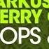 Markus Schulz Vs Ferry Corsten Loops Tings Extended Mix