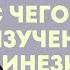 4 С чего начать изучение прикладной кинезиологии 03 09 2021