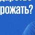 Исторический разворот Как власти относились к ранней беременности в истории Алексей Кузнецов