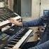 Italo Disco Fever Live On KORG Korgstyle Shorts Short Korgstyle