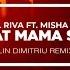 Manuel Riva What Mama Said Ft Misha Miller Alin Dimitriu Remix