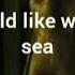 Davy Jones Lyrics