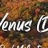 Paul McCartney The Kiss Of Venus Dominic Fike Lyric Video