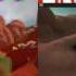 Roblox Anthem Video Trailer And Inside The Real Game