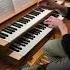 ЛЕГЕНДАРНЫЙ ХИТ на органе Ppap Ppaporgancover Germanorganist