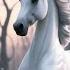 Unicorn The Magic Mystery And Myth Of An Enchanted Creature