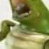 Mickael The Turtle