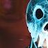 РАЗБОР НОВОСТЕЙ И ТЕОРИЙ ПО ХОРРОР ТЕЙЛ 3 Horror Tale 3 Witch