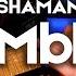 SHAMAN МЫ Electric Guitar Cover By Victor Granetsky