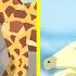 Modern Vs Prehistoric Animals Size Comparison Animal Animation